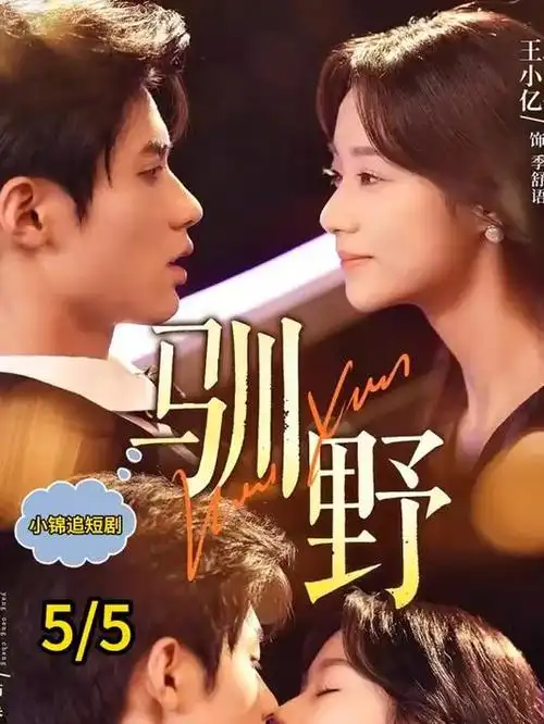 51视频旧城故事电视剧全集